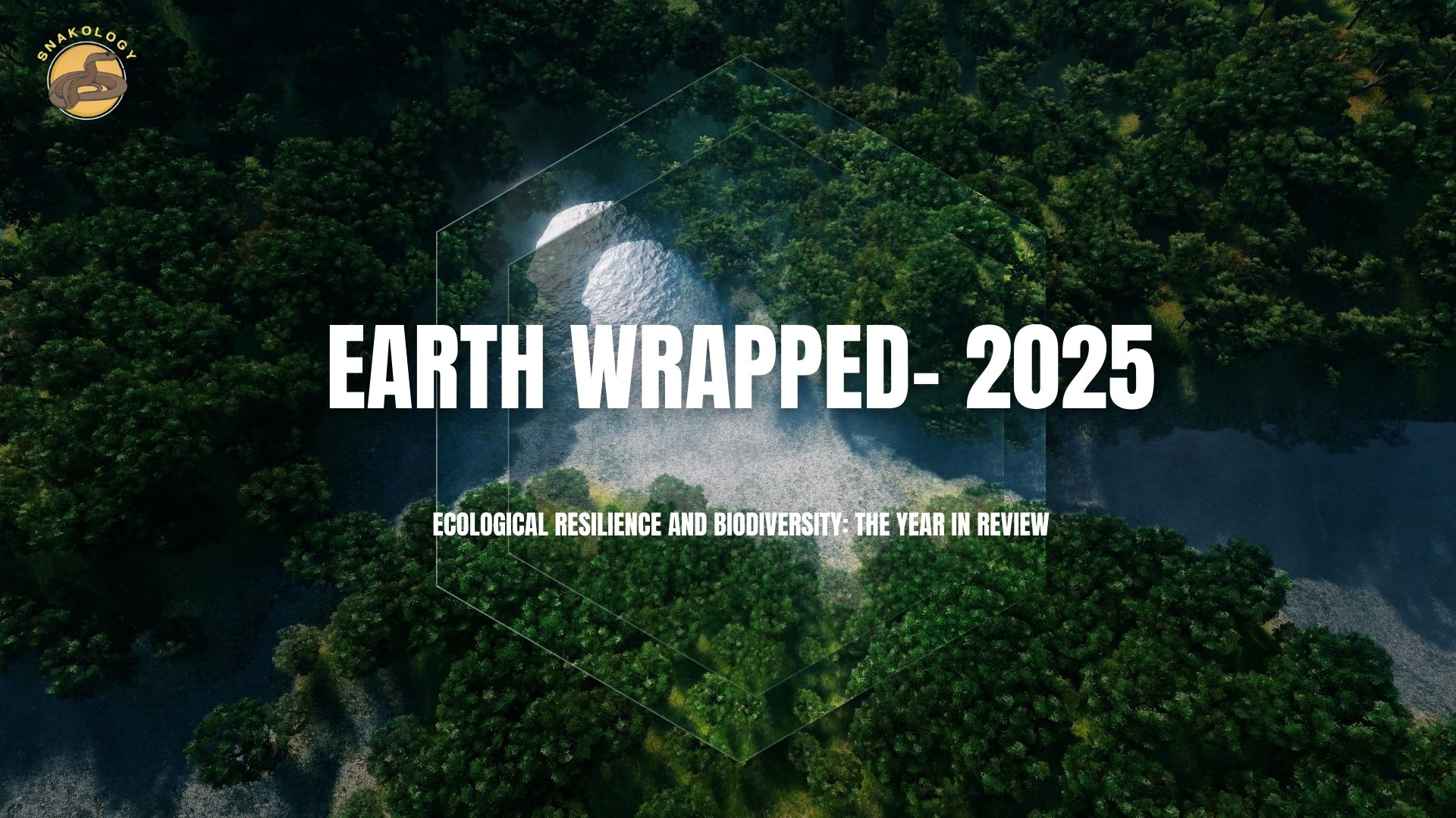 Earth Wrapped